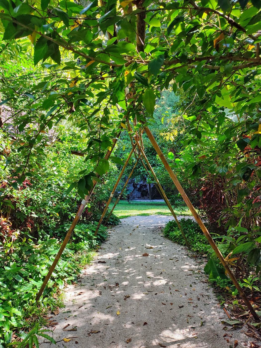 A sandy path leading through the garden under a bamboo arch