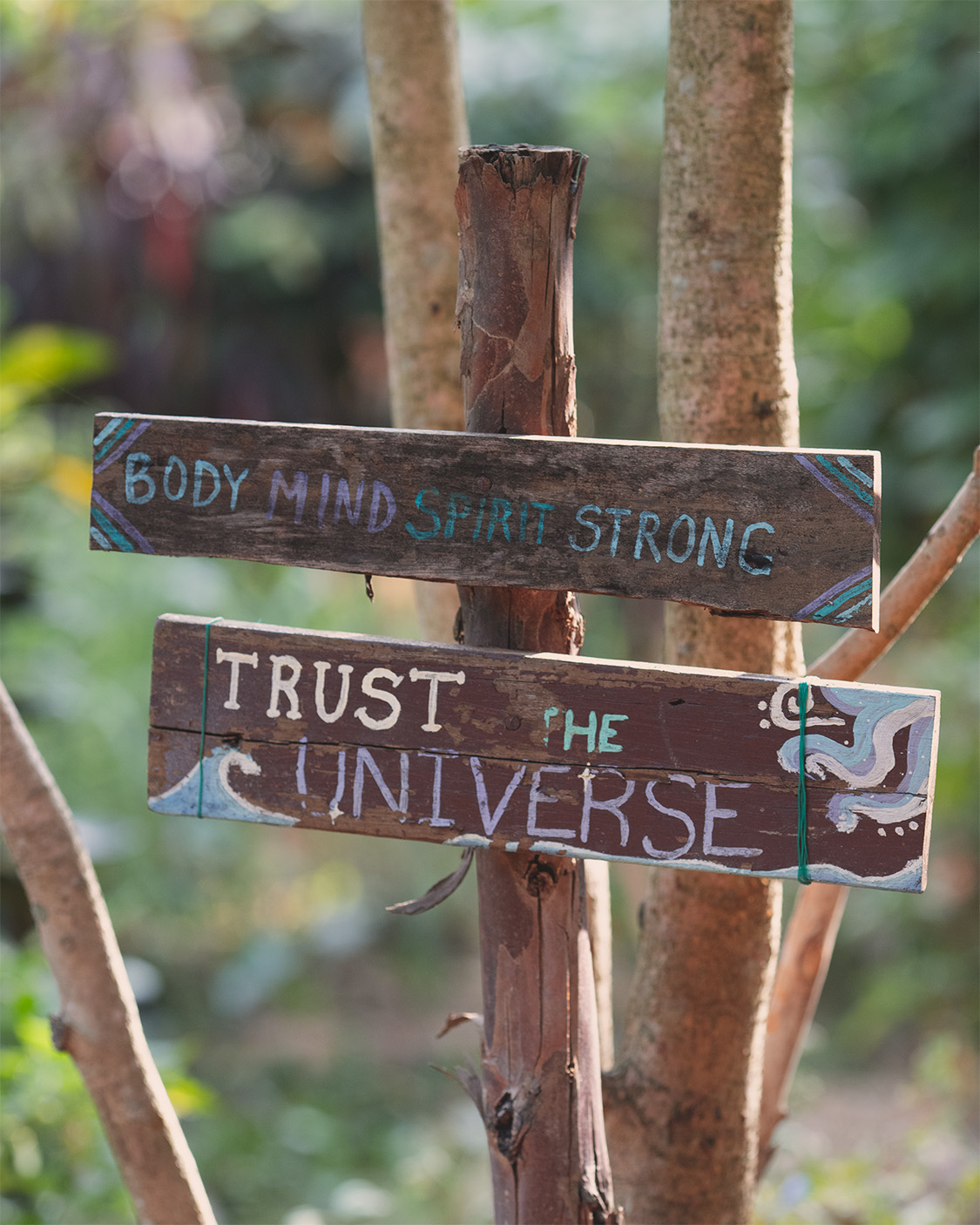 Hand-painted garden signs reading Trust the Universe