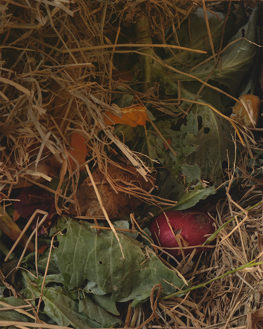 Compost heap of straw and food scraps