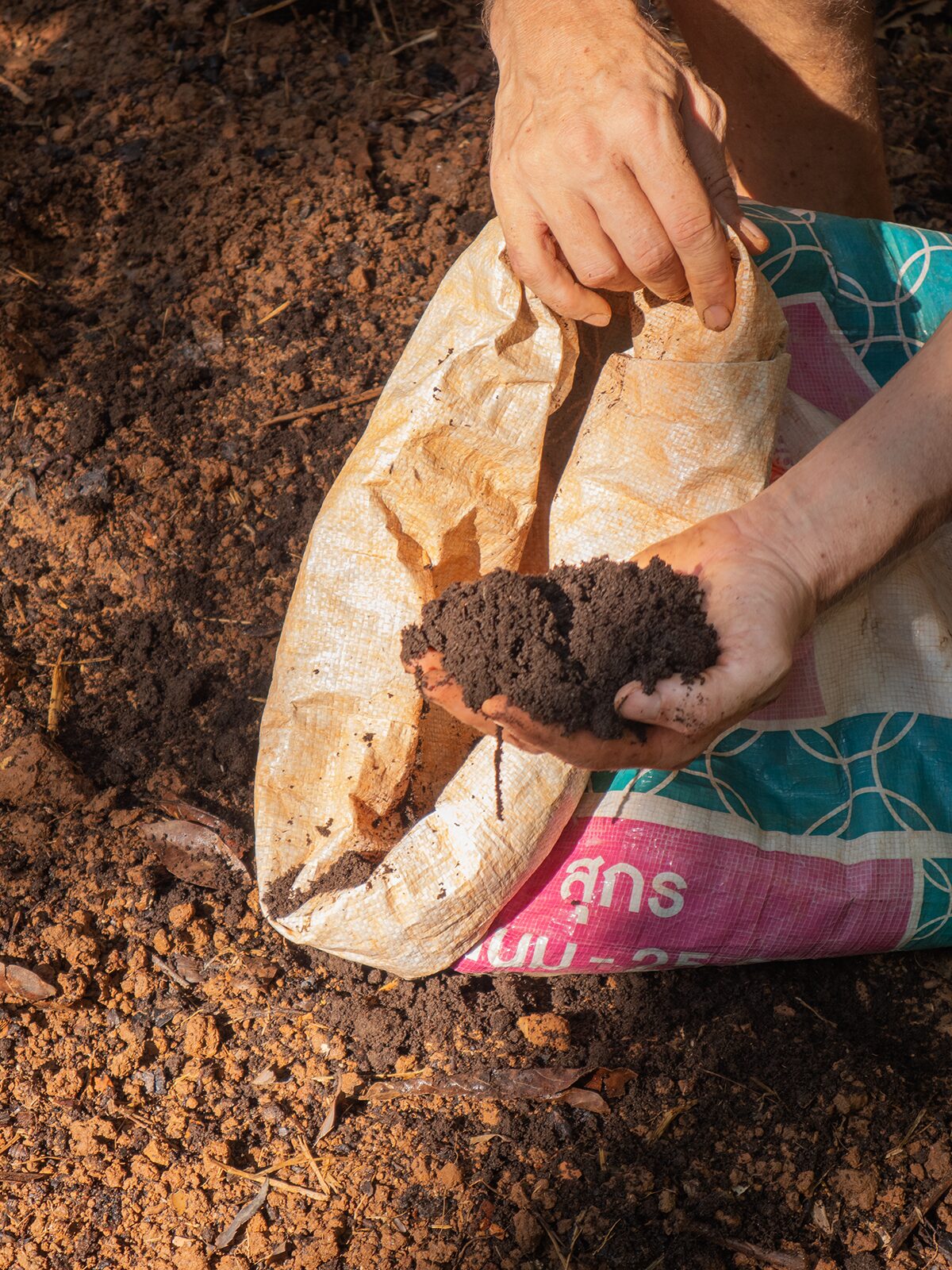 Hands scattering rich dark soil