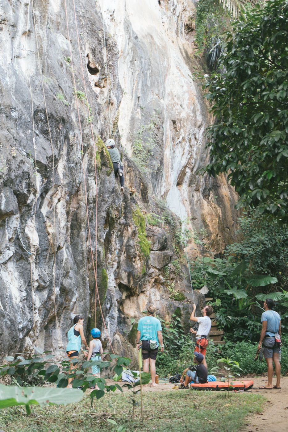 A climber on the limestone wall